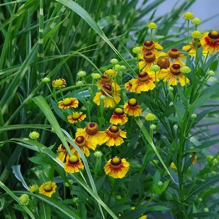 Gaestehaus Loedermann Гармиш-Партенкирхен