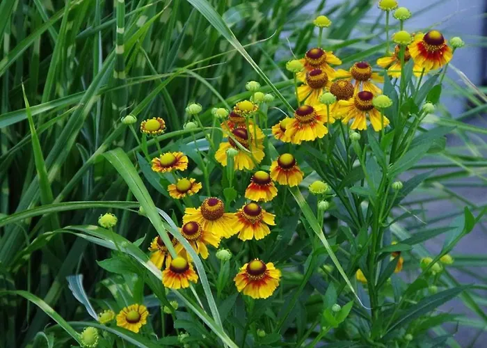 Gaestehaus Loedermann 加爾米施-帕滕基興